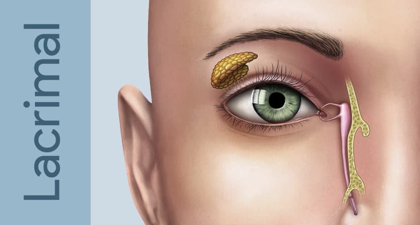 Balloon Dacryoplasty