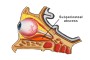 An image showing an abscess related to eye plastics.