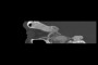 A photograph of Frame 1 with an opacity of 0.7.