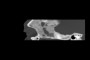Photograph of Frame 1 with opacity at 70%.