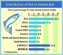 Animated image of a fish with the word 'Overview' displayed within the image