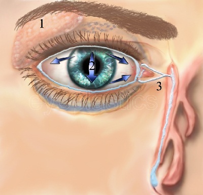 Description of the objects in the image and any embedded text